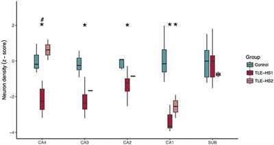 Manual Hippocampal Subfield Segmentation Using High-Field MRI: Impact of Different Subfields in Hippocampal Volume Loss of Temporal Lobe Epilepsy Patients